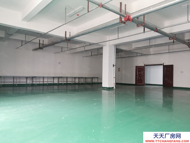 (出租) 標準化廠房200方至5000方 地坪墻面已完善 三相電入戶