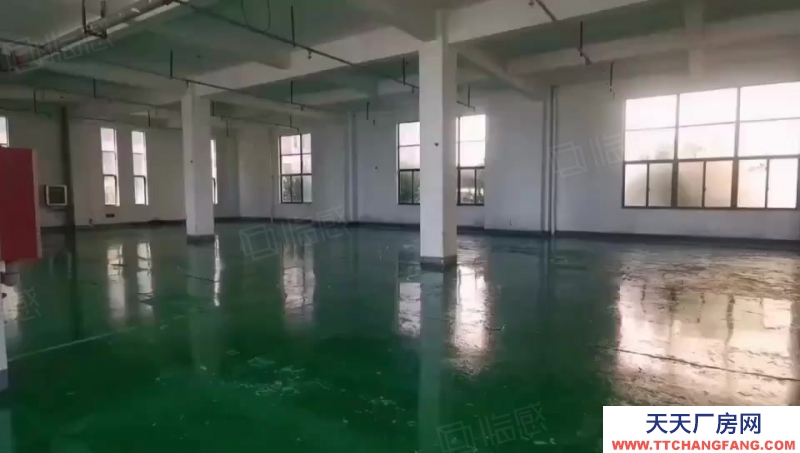 (出租) 一樓960平倉庫廠房 可進大車 三相電 水電齊全