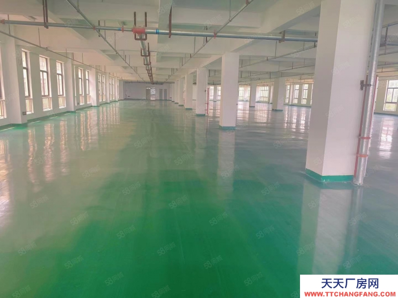 (出租) 2500方大平層廠房倉庫 雙貨梯客梯 三相電 消防已過