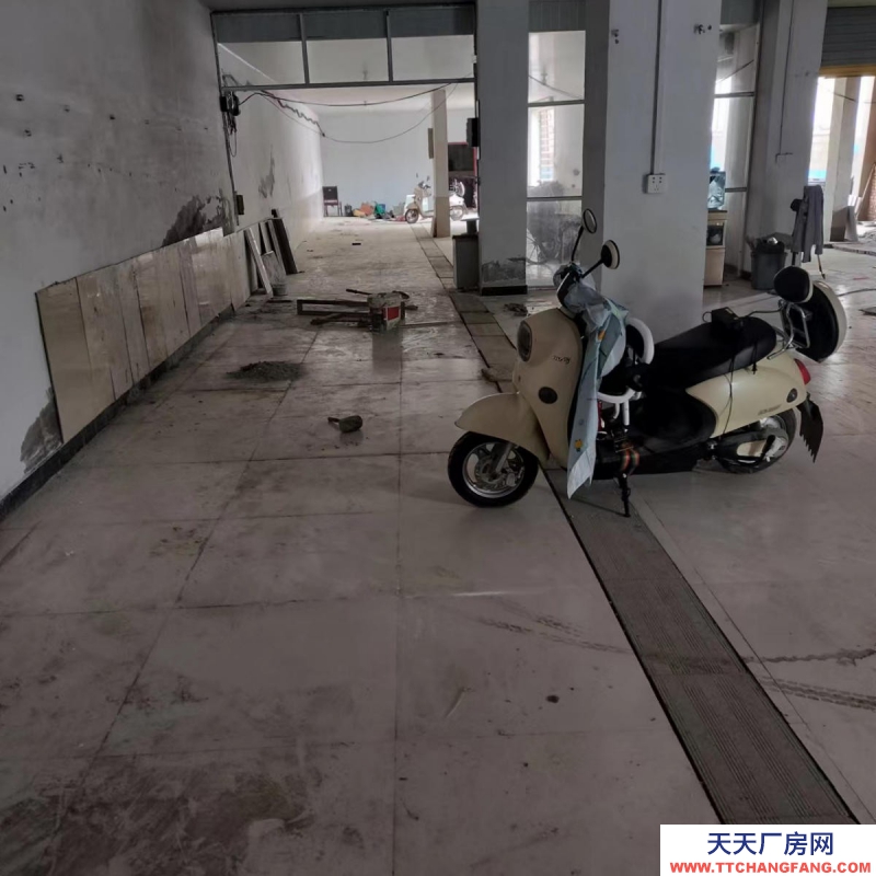 (出租) 306省道路邊，有動力電，出入方便，距離高速路入口近