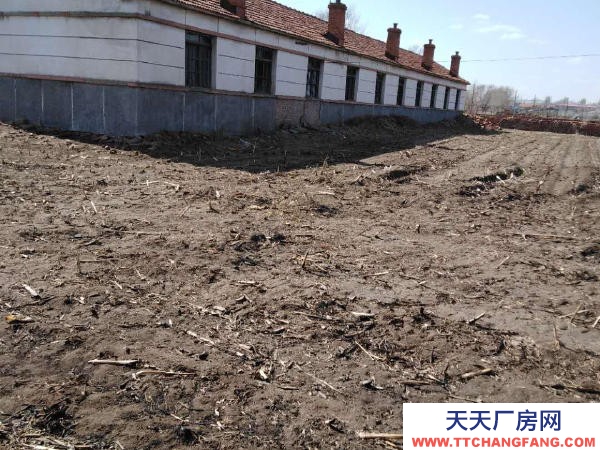 康平縣康平城區 可做養殖場 出租出售 價格可以 急售