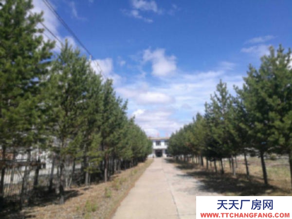 西崗 出租出售根河市滿歸鎮華茂大院