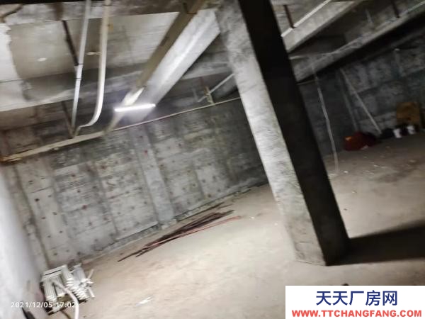 西崗交通方便，近大菜市，有水，價(jià)格面議