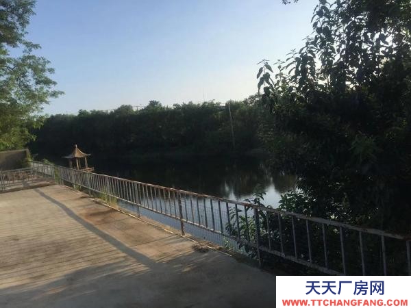 旅順口火石嶺廠地出租 環境好