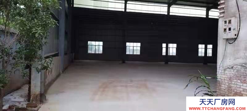 (出租) 無中介費,直接房源,證件齊全