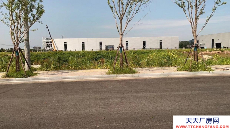 (出租) 蕭縣姬村新建廠房，誠信出租