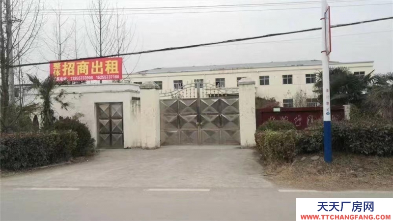 (出租) 招商出租碭山薛樓園區帶院辦公樓