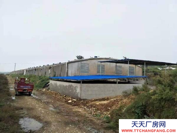 瓦房店自己家養殖場出租，適合各種養殖業