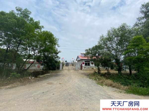 普蘭店雞房出售，價格可談，設備齊全