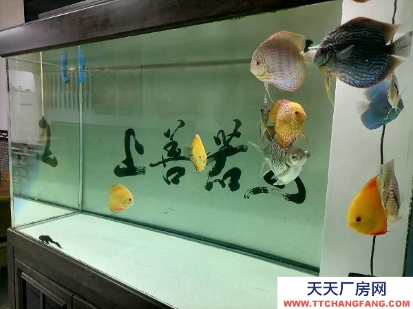 新撫位置好，停車辦公，廠房