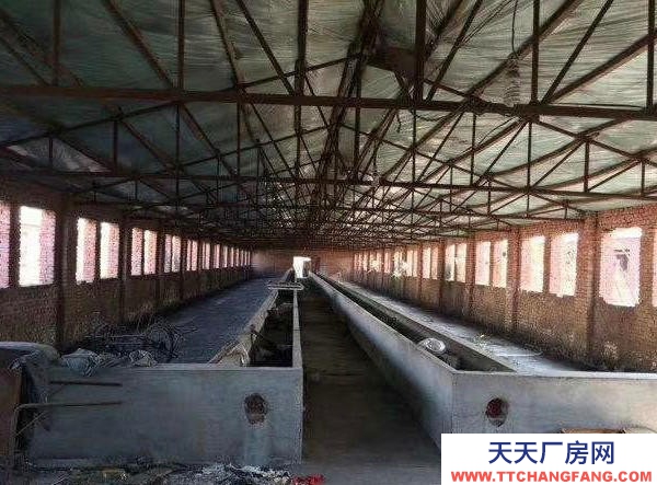 新撫二十五畝肉牛養殖場可養1000頭肉牛