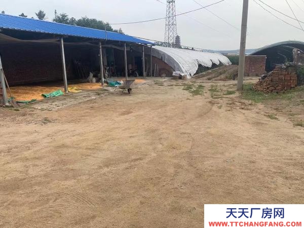 新撫出租養殖場地。設備齊全