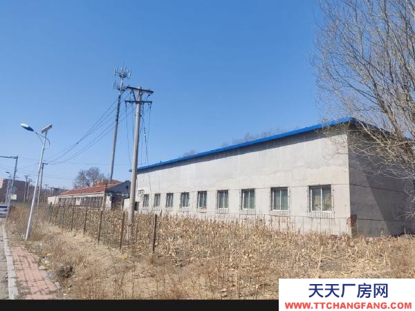 東洲低價(jià)急租東洲茨溝廠房