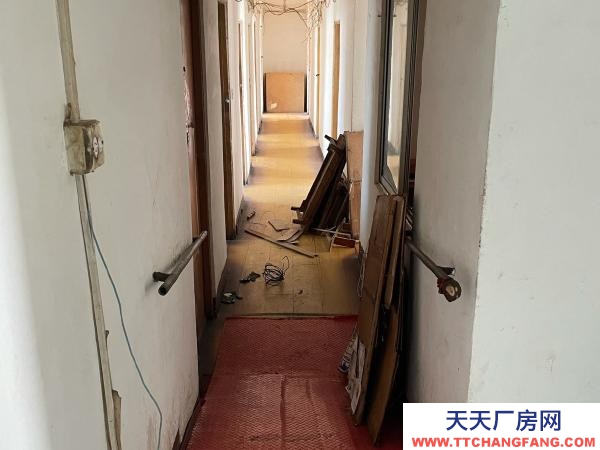 東洲房屋地理位置優越，可整租，也可分租