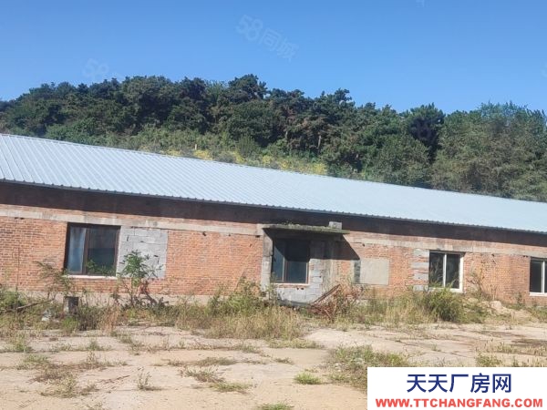 順城區(qū)望月路大型廠房低價(jià)出租