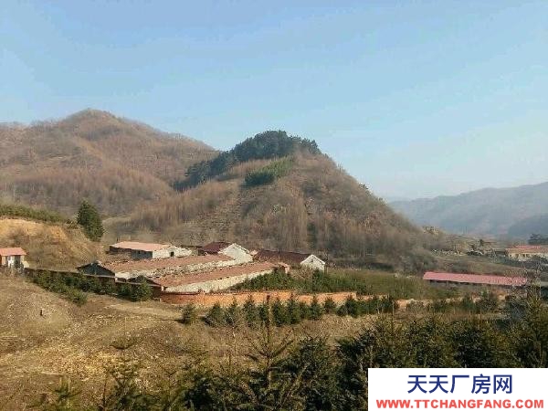 新賓木奇鎮(zhèn)北溝村養(yǎng)豬場低價出租
