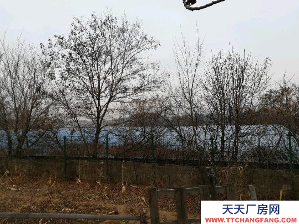 鲅魚圈可做倉庫可改大棚隨意改動價格便宜