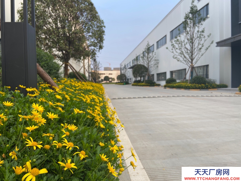 城北單層鋼結(jié)構(gòu)現(xiàn)房出租，高速路口，花園廠房！