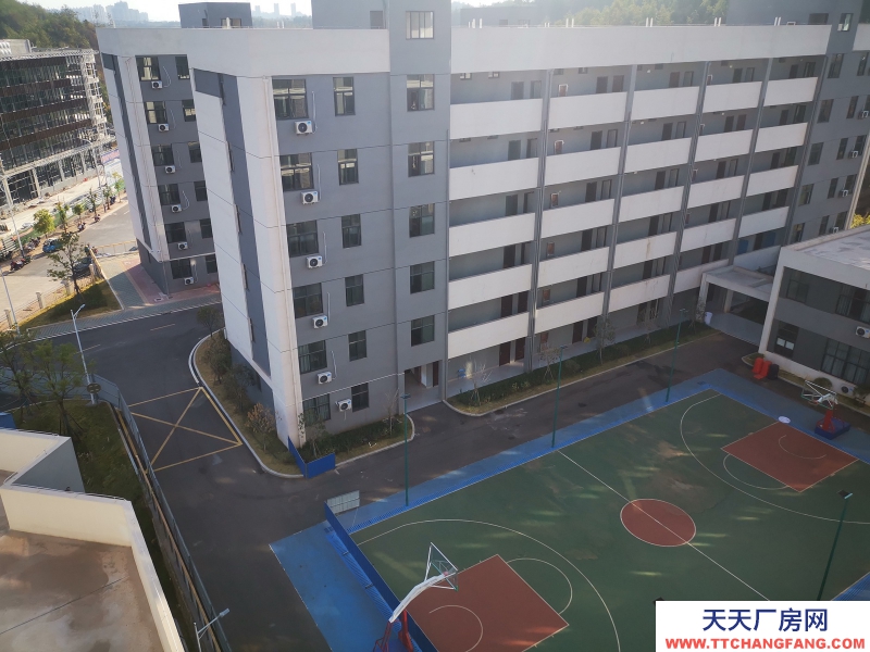 江西贛州廠房招商科技型企業(yè)免費(fèi)入駐配套齊全政策力度大