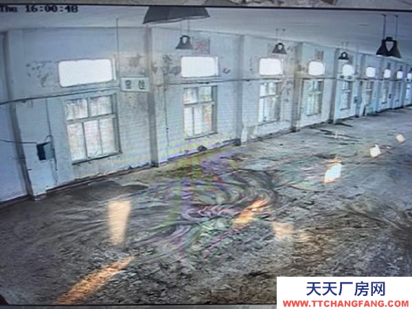 興隆臺廠房面積1200平方米