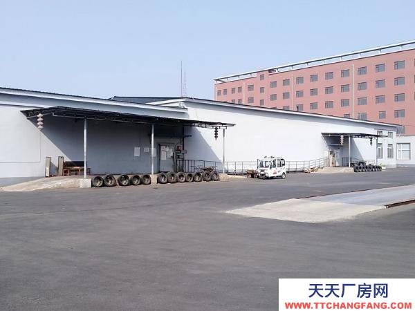 大洼冷庫出租5-1500平不等