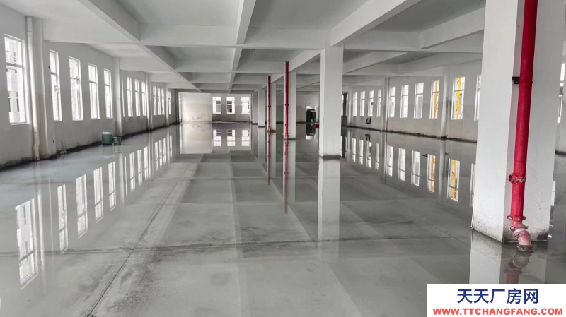 開發商直售：首付兩成起五十年獨立產權廠房 可定制