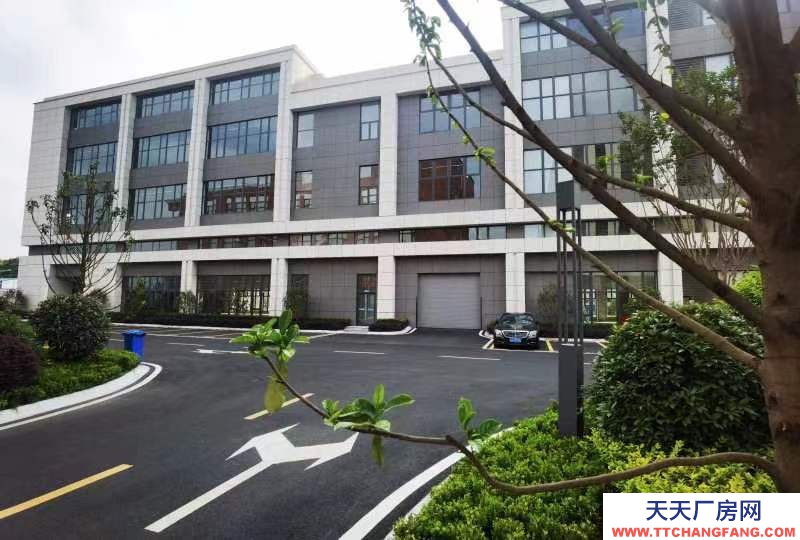 天府新區視高S5號線旁 50年產權廠房招商 1100平起獨棟 贈送面積大 得房率最高120%