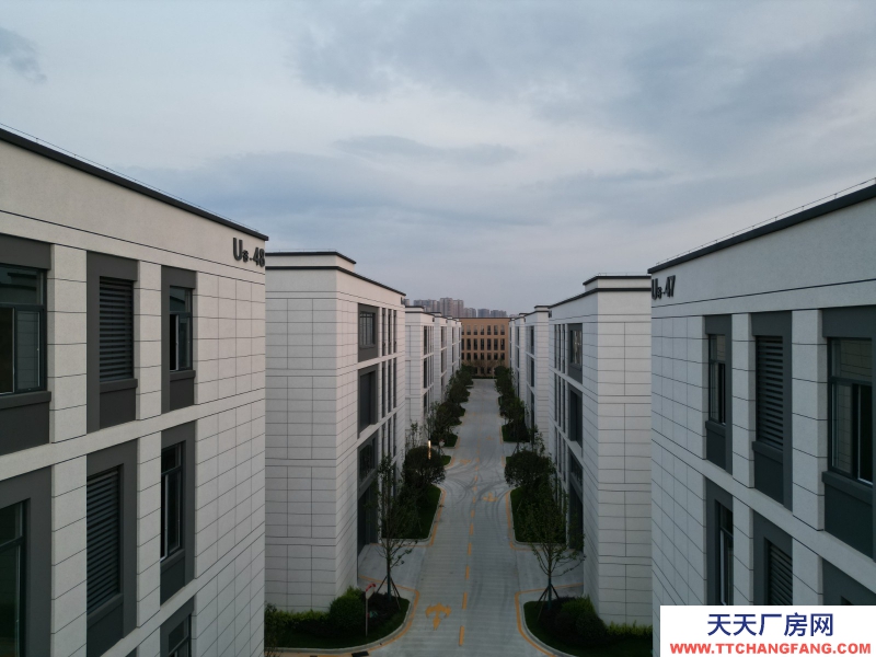 50年獨(dú)立分割產(chǎn)權(quán)標(biāo)準(zhǔn)化廠房租售