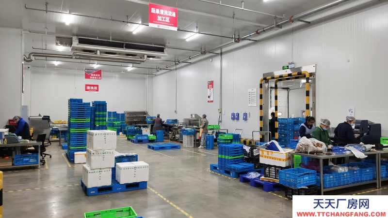 青白江食品產業園區現房出租