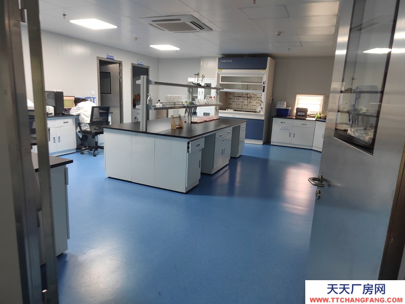 青白江食品產業園區現房出租