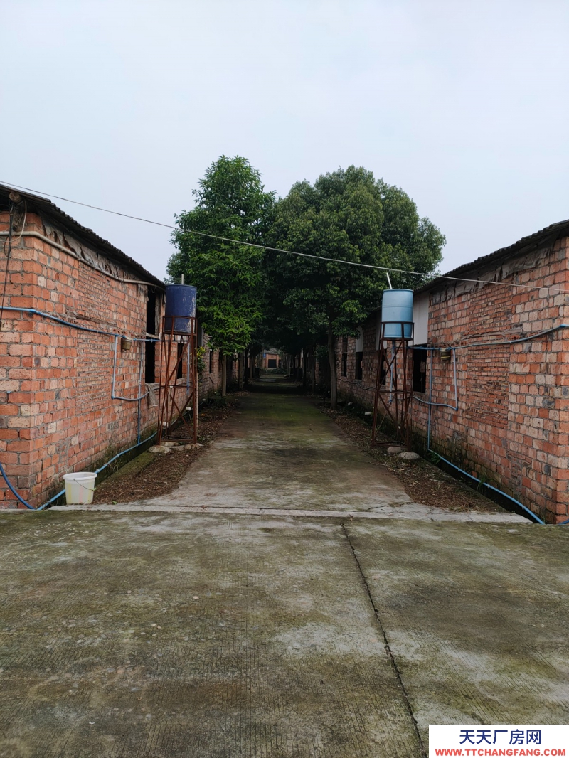 成都周邊5000平米廠房出租