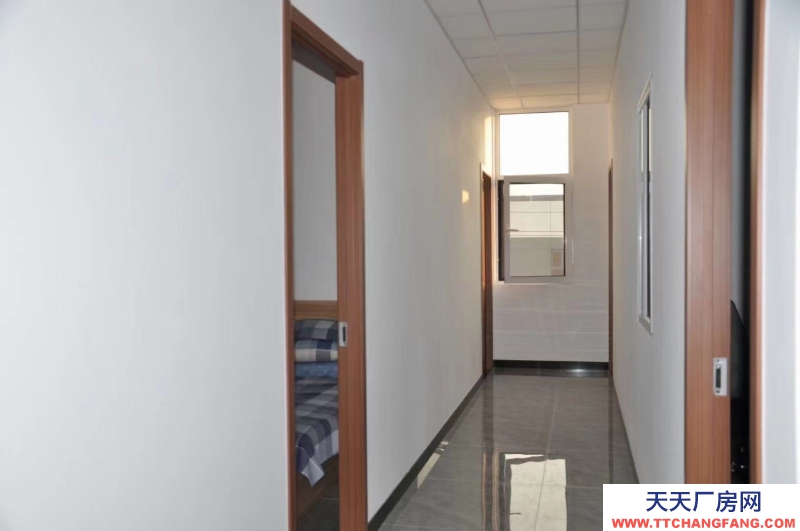 紅本廠房 大產權 噴漆印刷等行業能入住帶小院