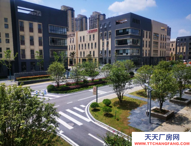 合肥富邦產業(yè)園-獨棟辦公樓-帶獨立產權