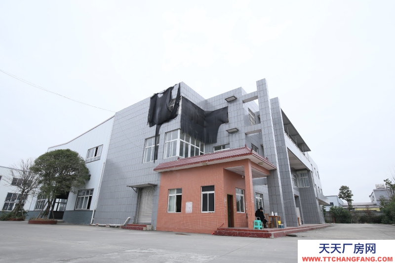 大邑沙渠園區標準鋼結構廠房出租20000平