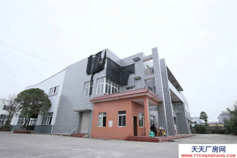 成都工業園區鋼結構標準廠房出租包裝廠房機械加工廠房設備制造廠房出租