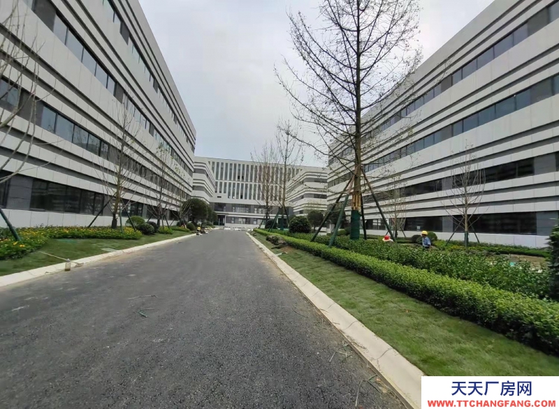 高新西區華為、京東方之間的 電子產業園區582—24000㎡品質園區出租