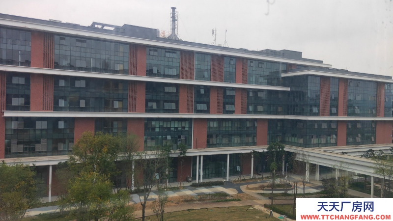 【園區直租】500-1000m2廠房、生產辦公、研發、新能源智能制造、檢驗檢測、；國有資產平臺，政策扶持，可享免租