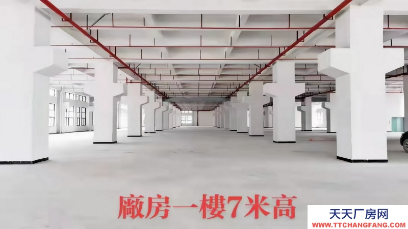 東莞市塘廈鎮１萬平方原業主全新獨棟廠房出租