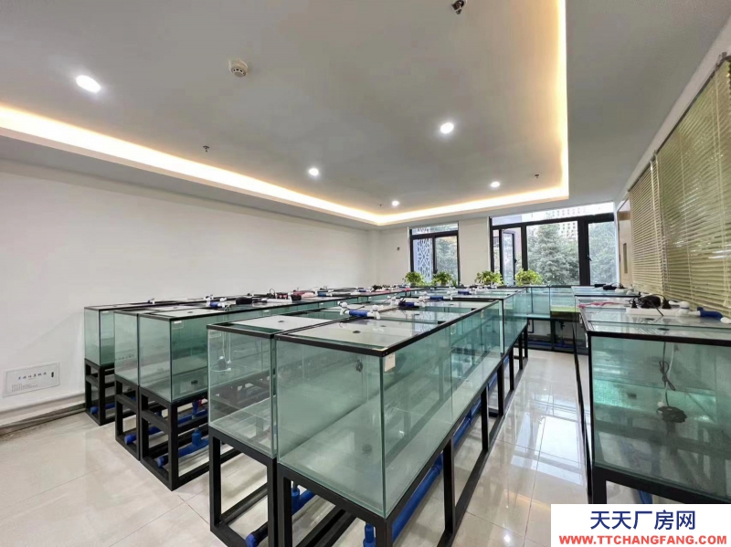 新年特惠特價!無中介費開發商直租,50年工業產權可以辦理全資質,精裝實驗室