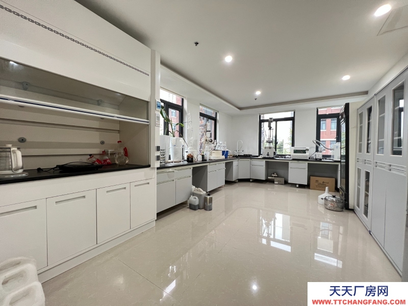 新年特惠特價！無中介費開發商直租，50年工業產權可以辦理全資質，精裝實驗室