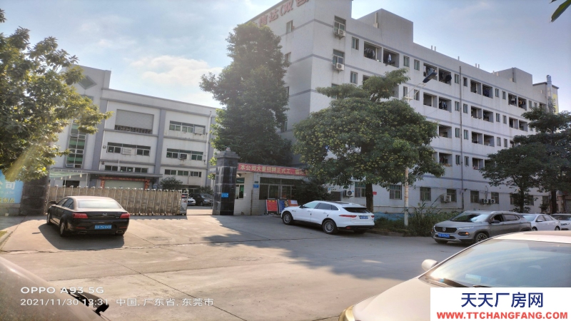 東莞市謝崗鎮(zhèn)12000平方獨門獨院廠房出租