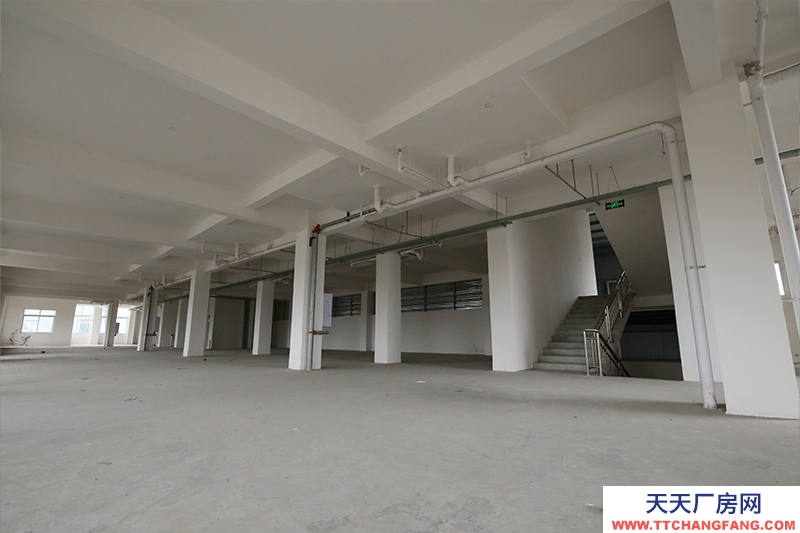 大邑沙渠園區(qū)標(biāo)準(zhǔn)鋼結(jié)構(gòu)廠房出租