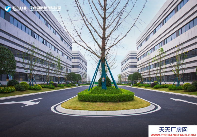 天府新區(qū)視高S5號線旁 50年產(chǎn)權(quán)廠房招商 1100平起獨棟 贈送面積大 得房率最高120%