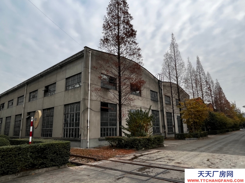 出租金牛沙河源 廠房 倉庫 場地 川建園區內