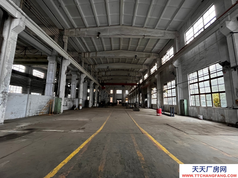 出租金牛沙河源 廠房 倉庫 場地 川建園區內