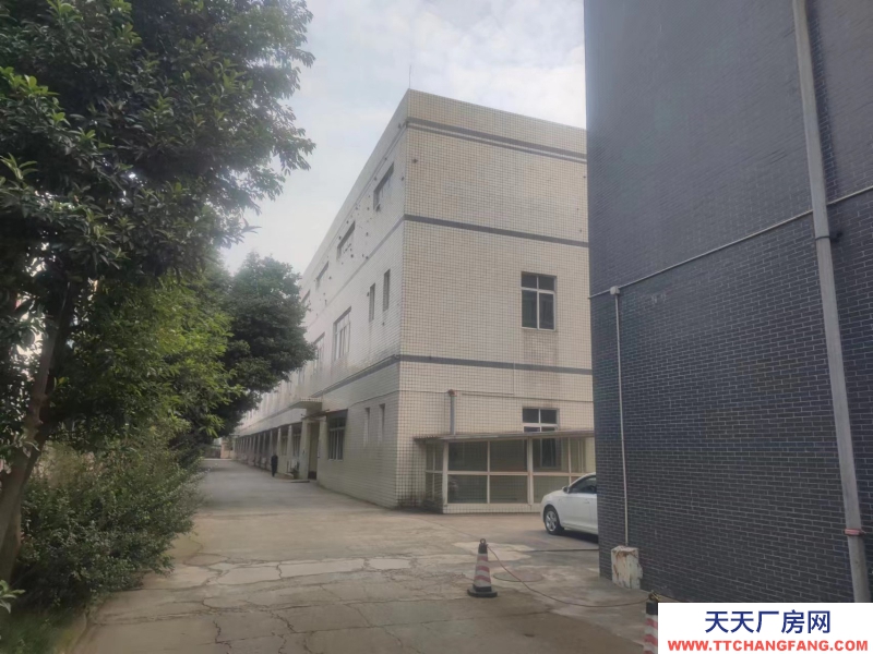 獨門獨院標準廠房底價出租,房東直租!