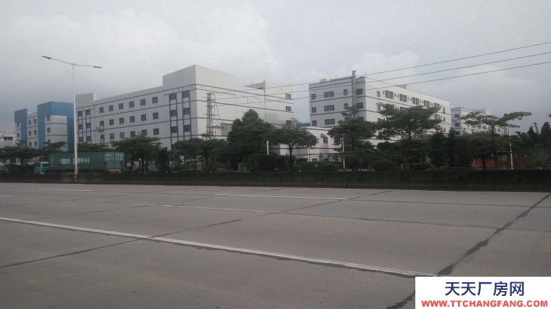 東莞鳳崗鎮(zhèn)21000平方五星干倉物流倉庫出租