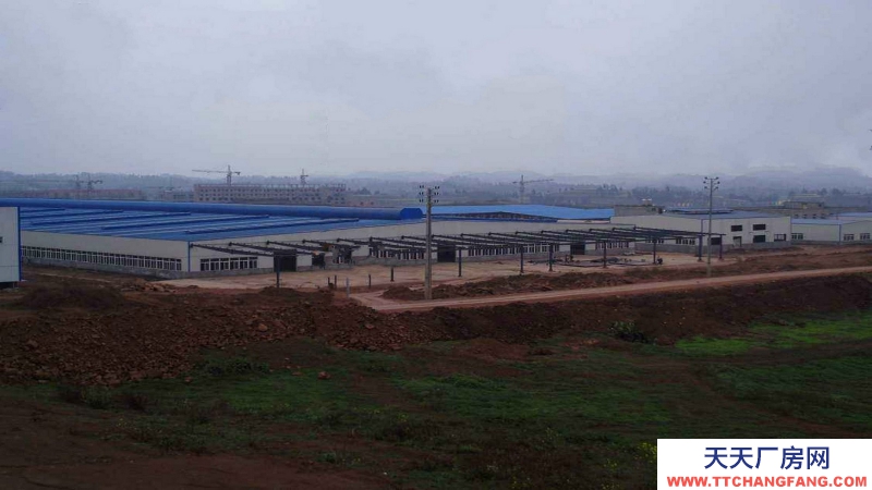 東莞市塘廈鎮四村１１０００平方獨棟廠房出租