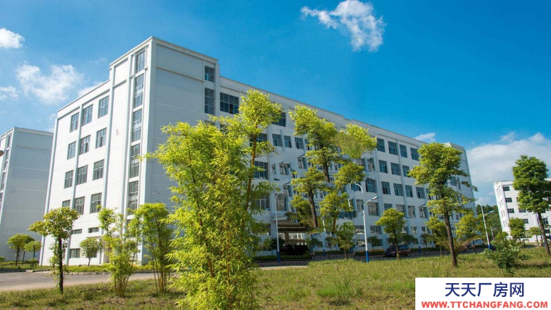 東莞市沙田鎮(zhèn)1650平方全新紅本產(chǎn)業(yè)園廠房出售