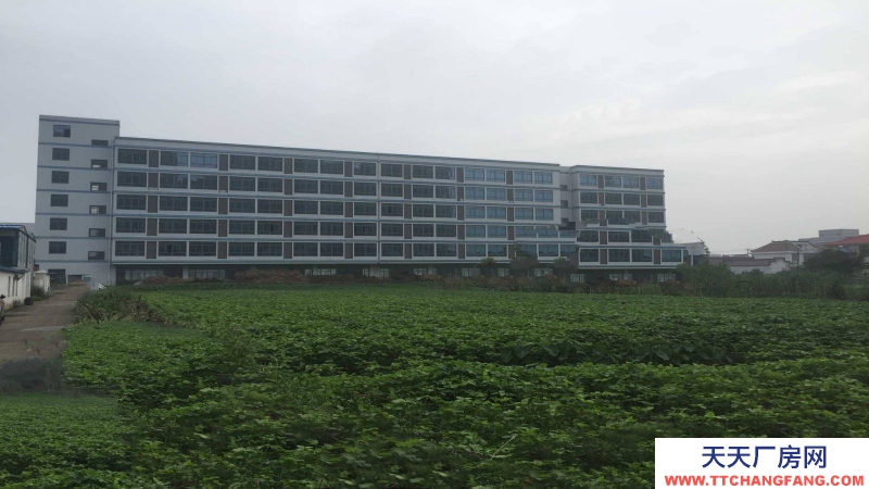 惠州市惠陽區(qū)新圩鎮(zhèn)１８００平方紅本獨棟廠房出售